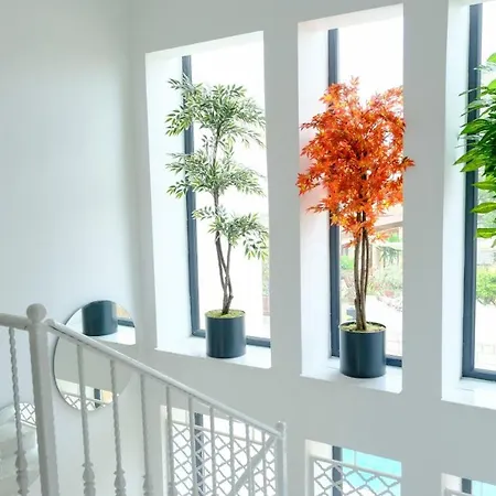 Wind Of Alacati Adult Only 13 Otel